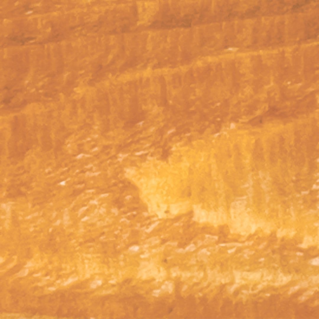 Alpine Seal swatch