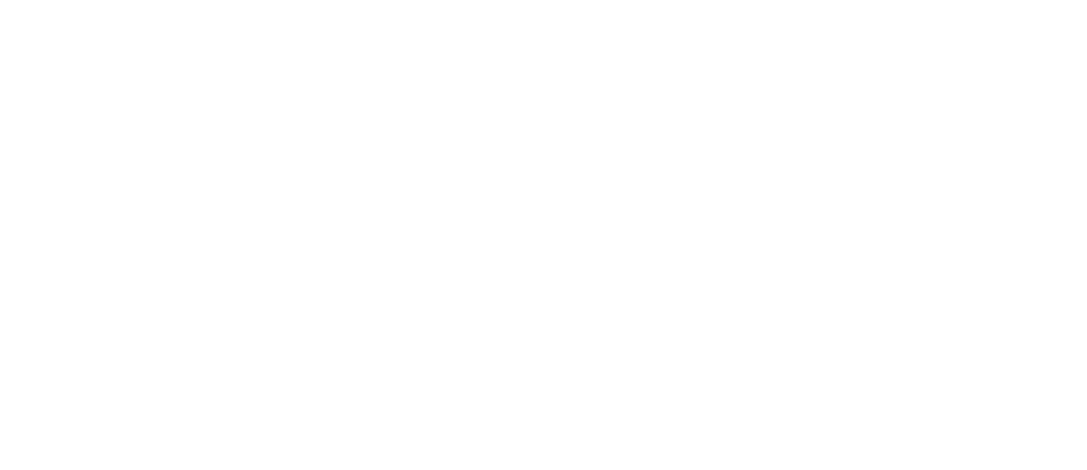EXPERT Fence & Barn Paint