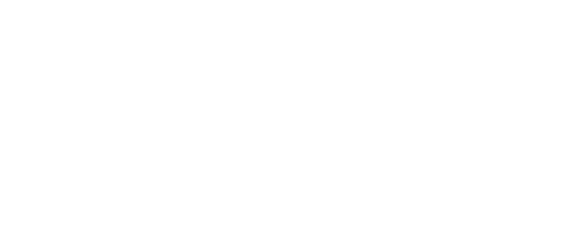 EXPERT Stain & Seal
