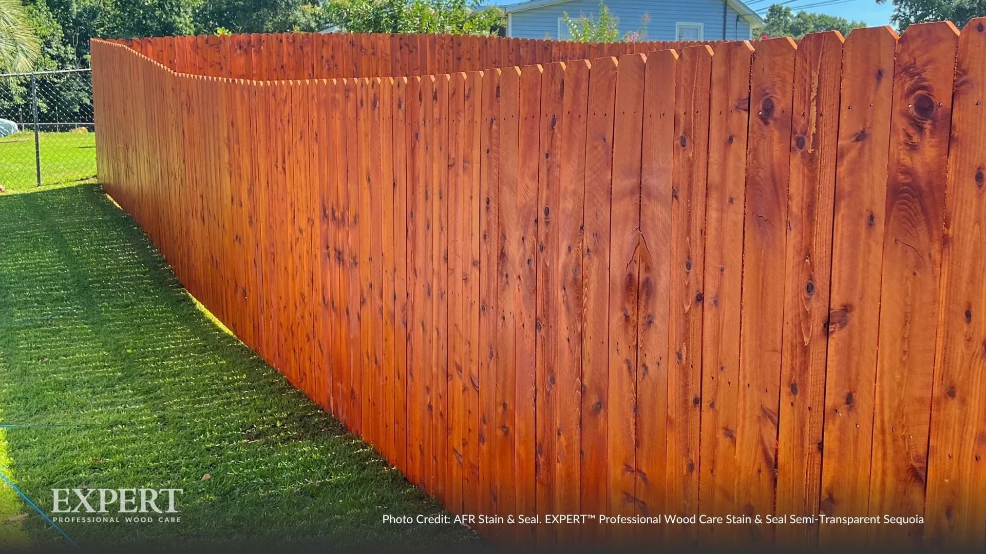 Cedar privacy fence finished with EXPERT Stain & Seal