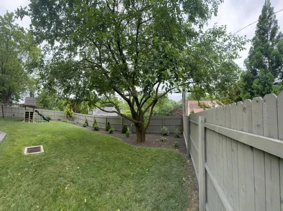Backyard fence finished with EXPERT Stain & Seal in Eucalyptus