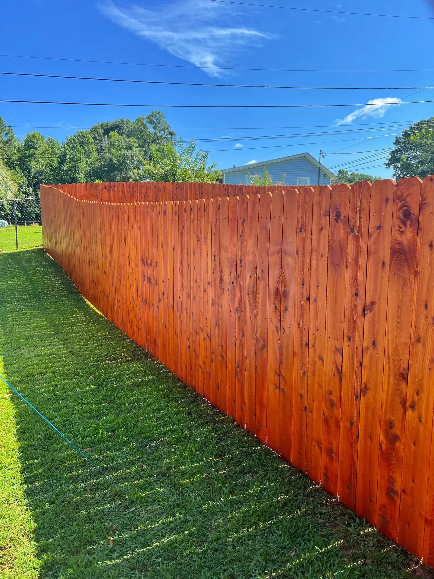 Privacy fence finished with EXPERT Stain & Seal Semi-Transparent Sequoia