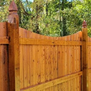 Stained privacy fence