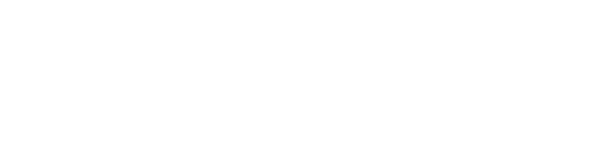 EXPERT Professional Wood Care