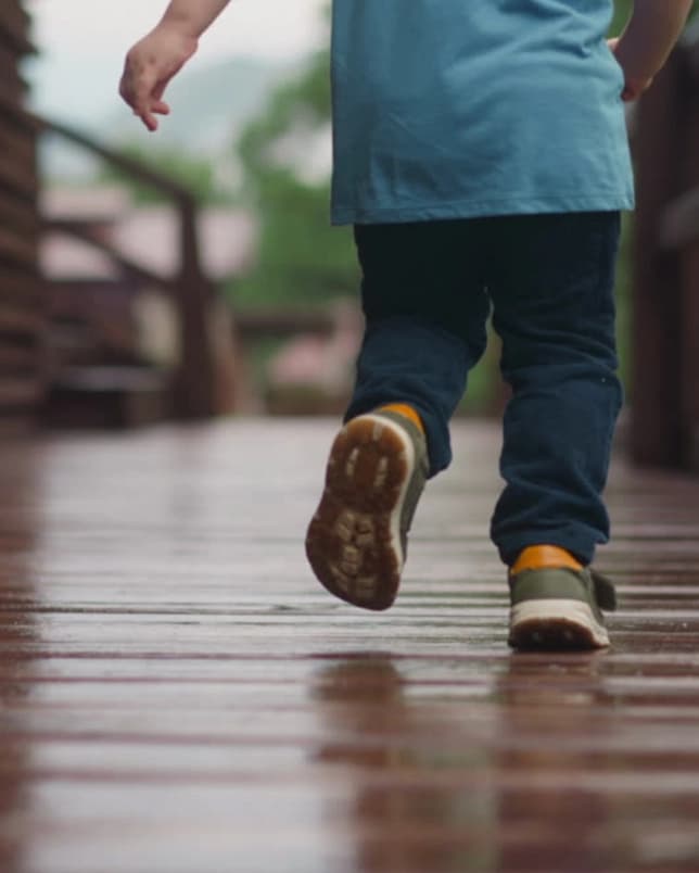 EXPERT® Professional Wood Care