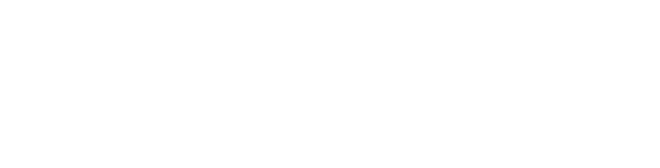 EXPERT Professional Wood Care