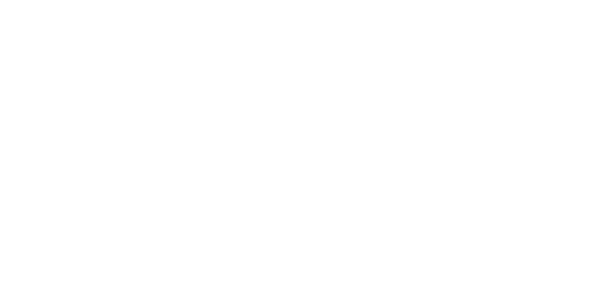 Stain & Seal Experts