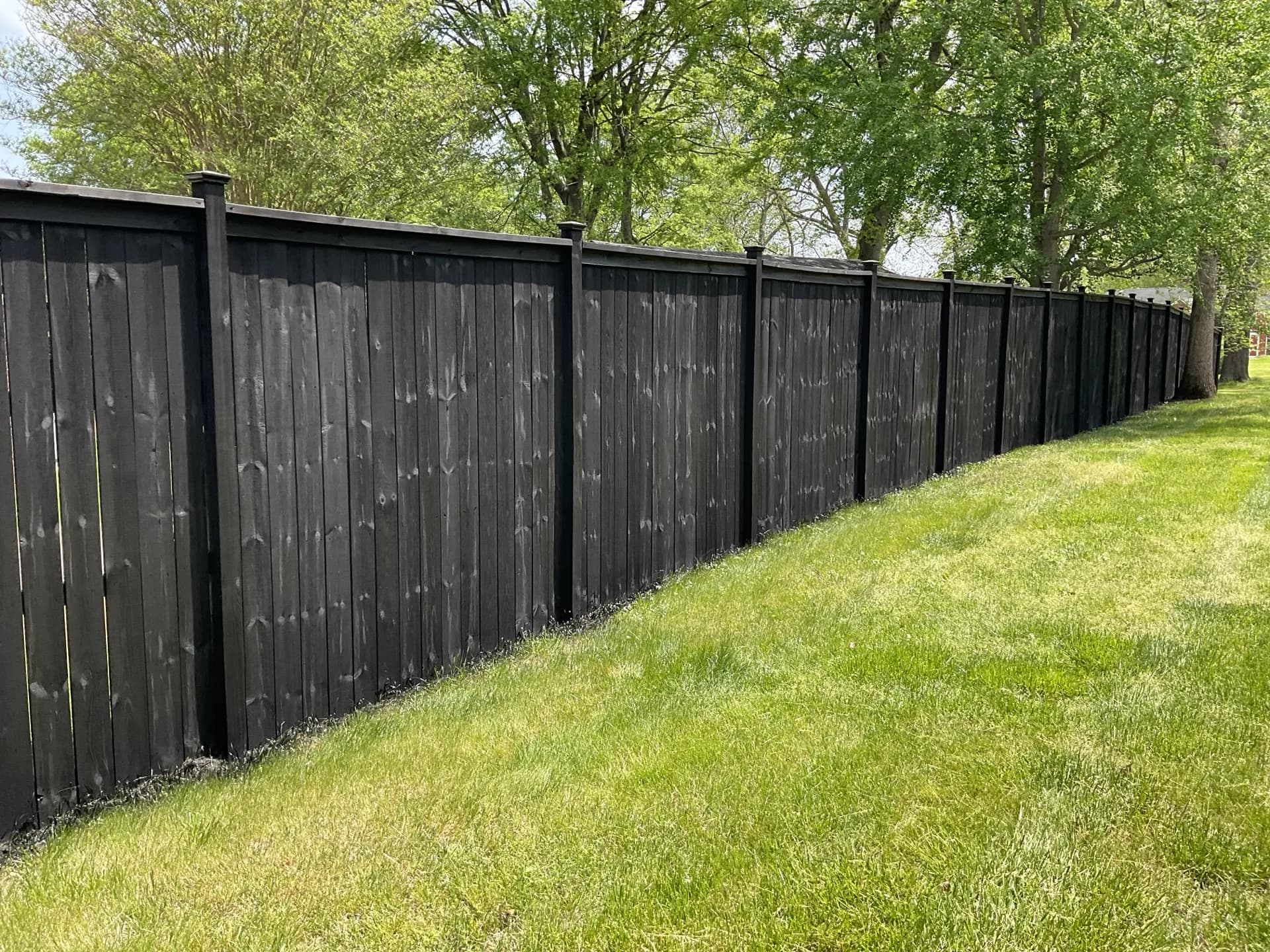 Privacy fence stained in EXPERT Black