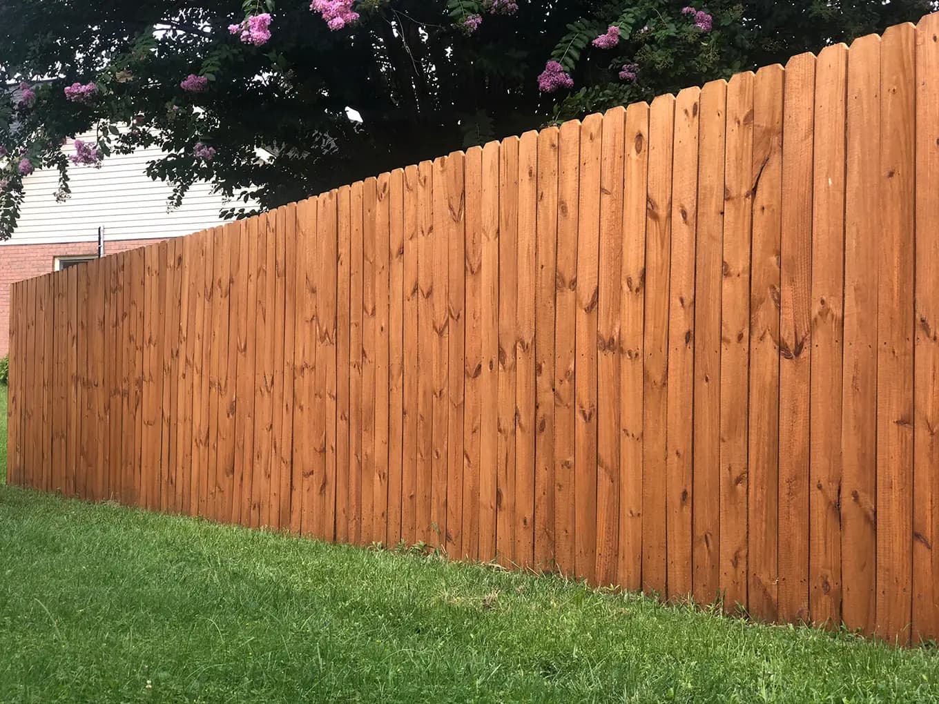 Common Fence Staining Problems and Solutions from Our Tennessee Wood Fence Restoration Company