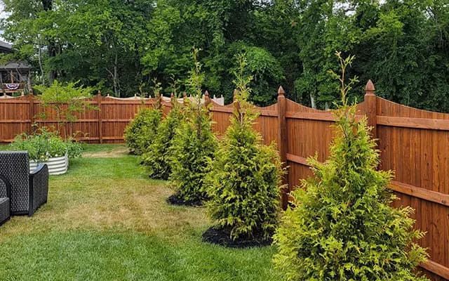 Stain & Seal Experts project