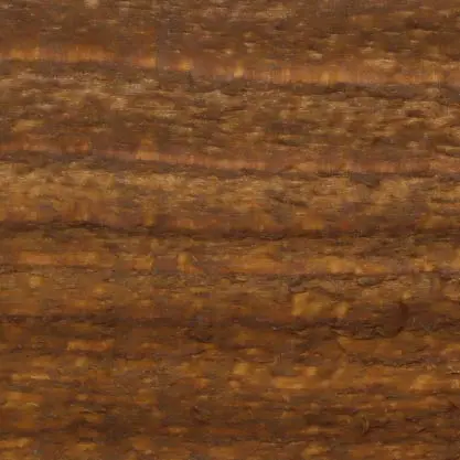 Bison Brown
